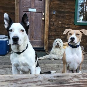 Meet your Posher, Nina